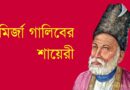 মির্জা গালিবের একগুচ্ছ শায়েরী