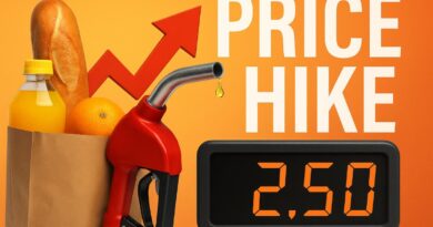 Impact of Price Hike Paragraph For HSC Students