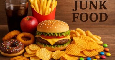 Junk Food Paragraph For All Classes Of Students