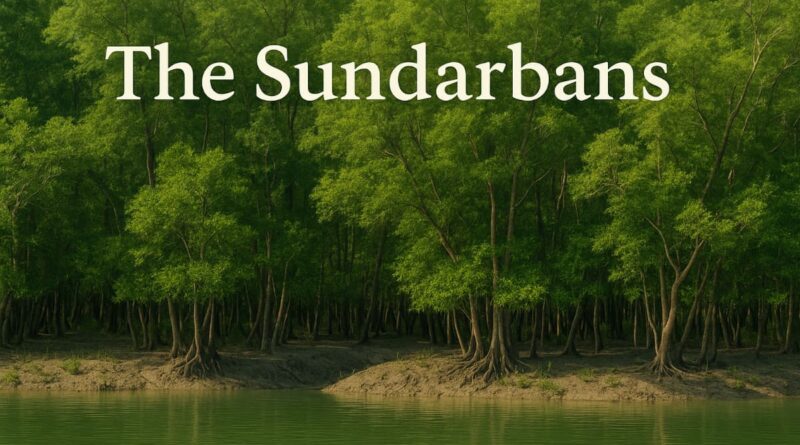 The Sundarbans Paragraph For All Classes Of Students