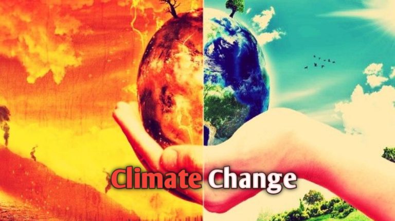 Climate Change Paragraph